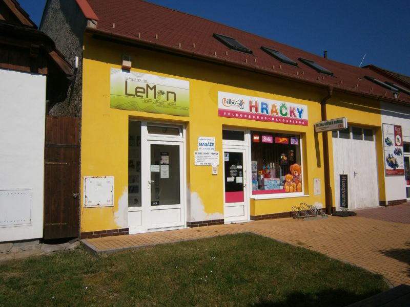 Vlasové studio LeMon